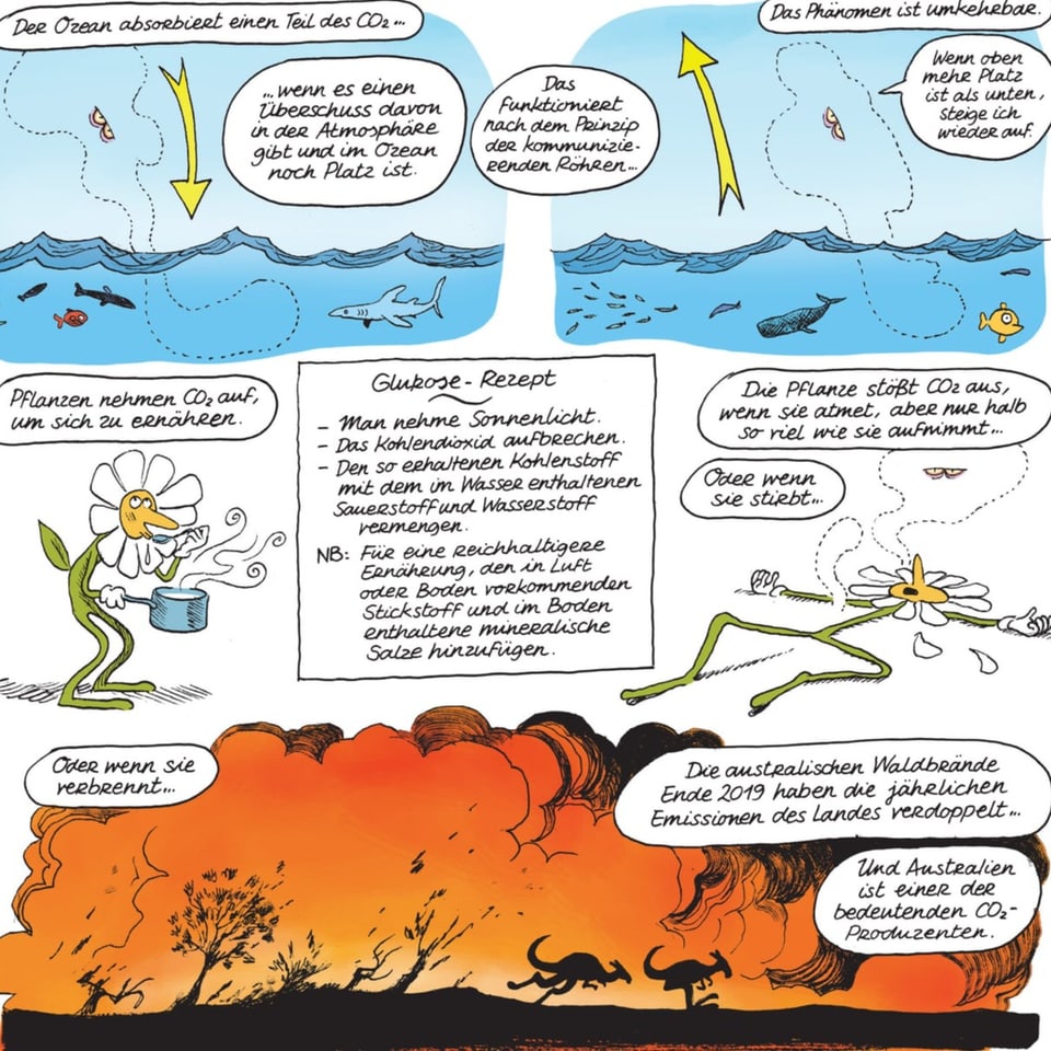 Comic: Erklärung CO2-Absorption