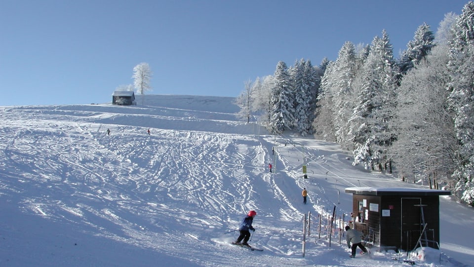 Skipiste im Zürcher Oberland. Blauer Himmel, verschneiter Wald.