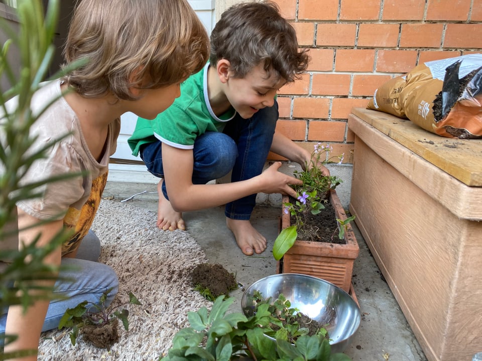 Kinder pflanzen Blüemli ein.