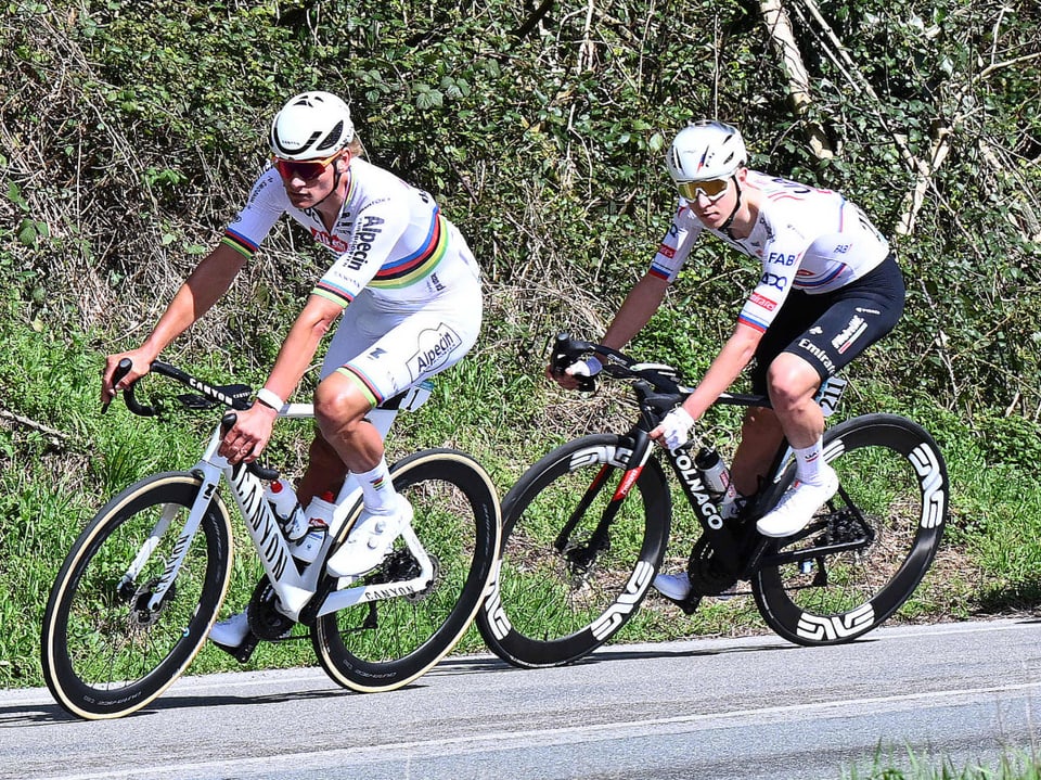 Zwei professionelle Radsportler während eines Rennens auf einer Strasse.