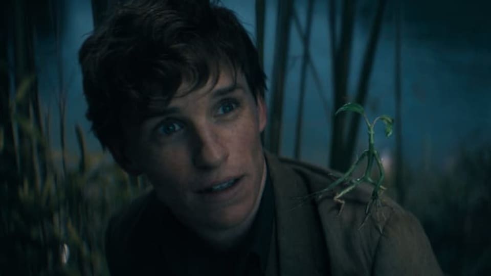 Eddie Redmayne als Newt Scamander mit einem süssen Blätterwesen auf seiner Schulter.