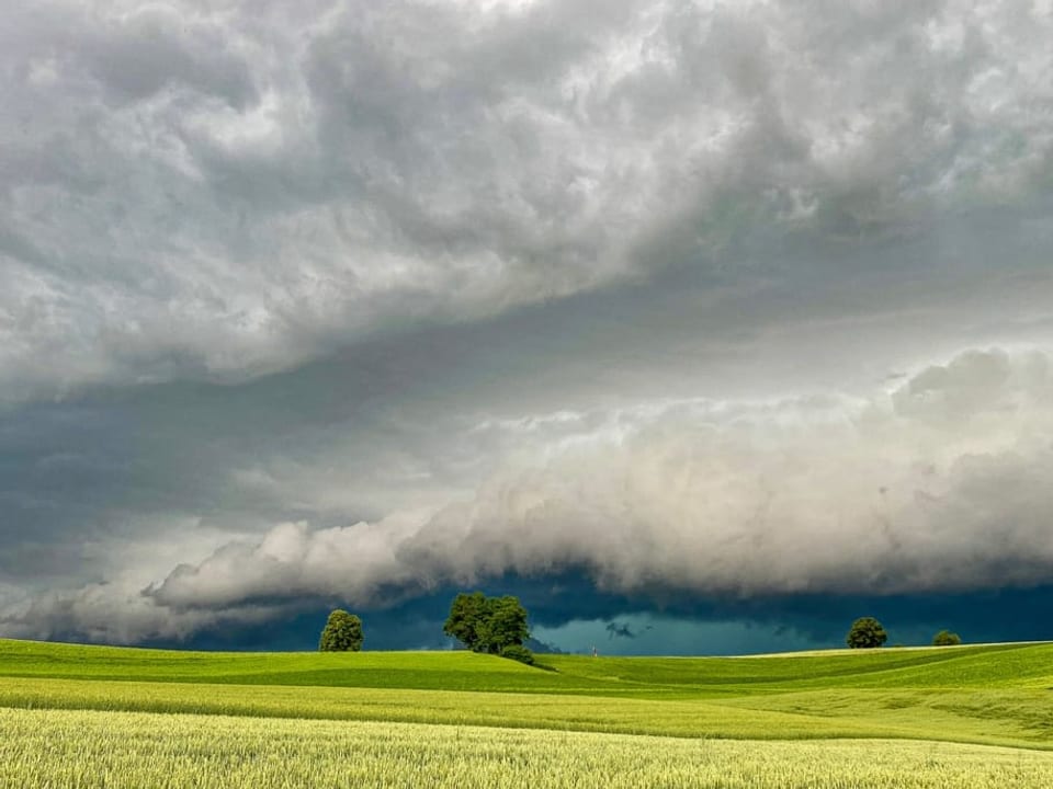 Affoltern im Emmental/BE Getreidefeld mit Gewitterwolke