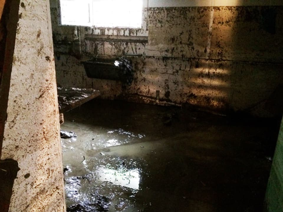 Ein völlig verschmutzter Keller, mit knietiefem Wasser.