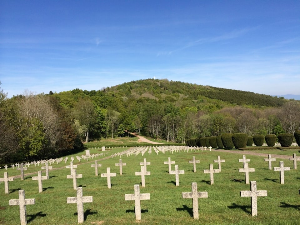 Vor einem bewaldeten Hügel stehen auf einer Wiese zahlreiche Gräber, die mit Kreuzen markiert sind.