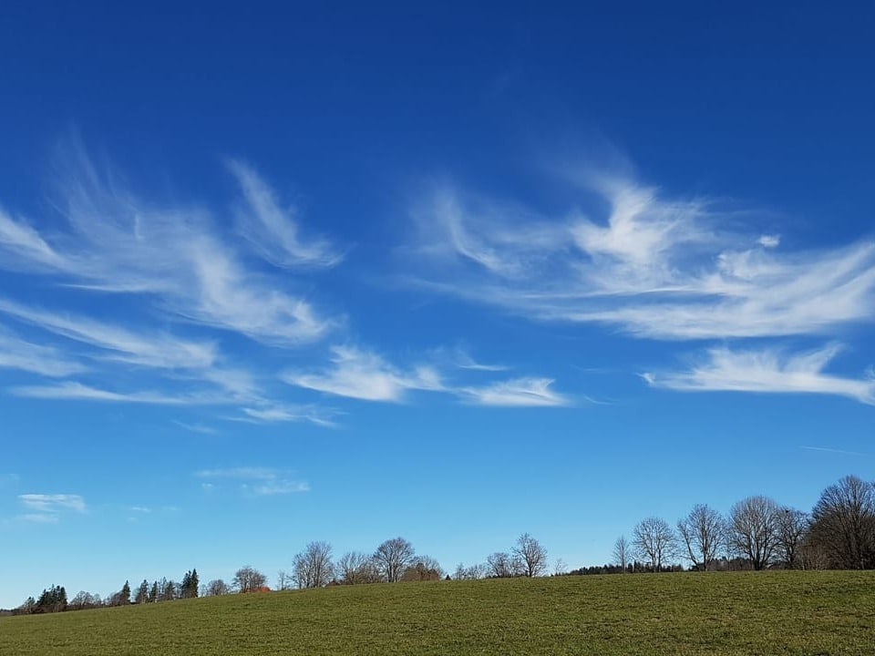 Wunderschöne fedrige Wolken verzieren den Morgenhimmel.