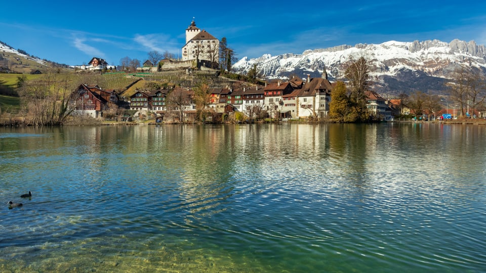 Frühling beim Werdenbergersee mit Schloss.