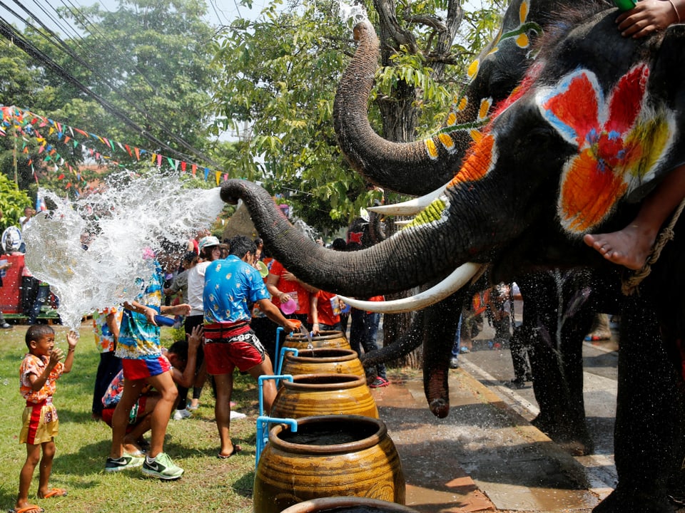 Kind wird von Elefanten nass gespritzt.