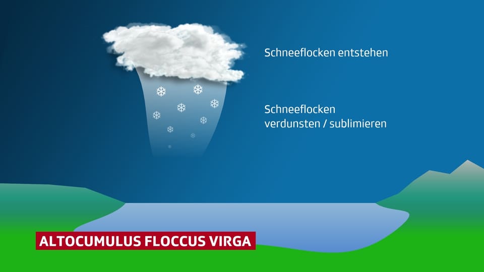Schematische Darstellung einer Quallenwolke und den dazugehörenden Fallstreifen.