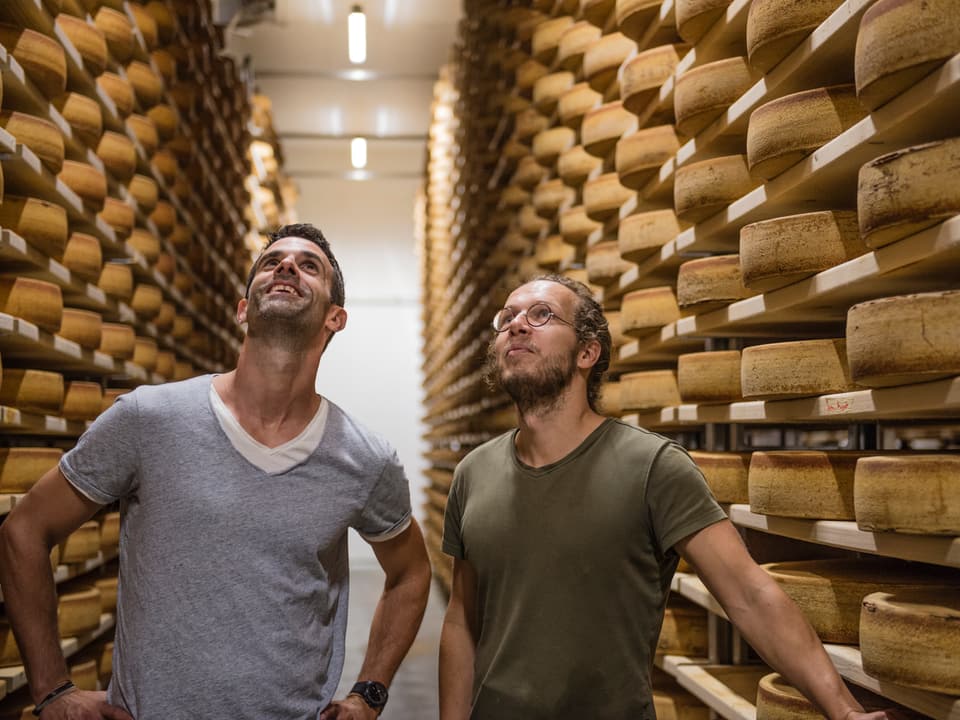 Käse soweit das Auge reicht und dazwischen Philippe Gerber und Mike Glauser.