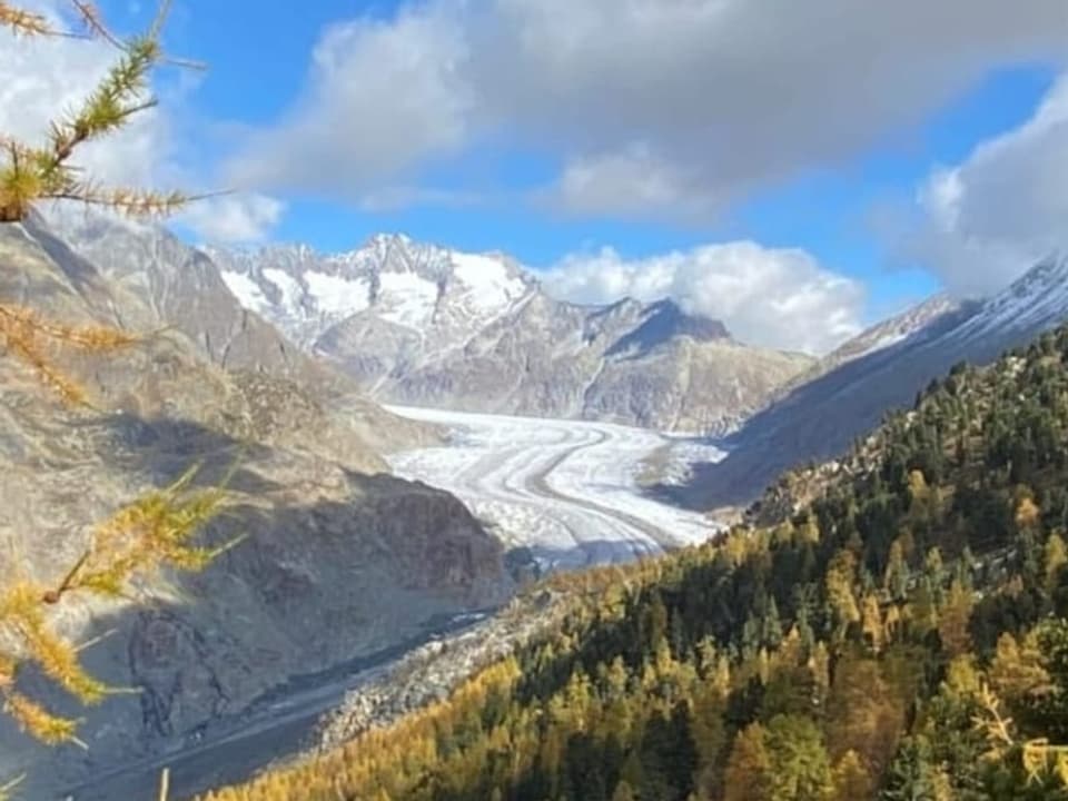 Riederalp/VS Riederalp/VS