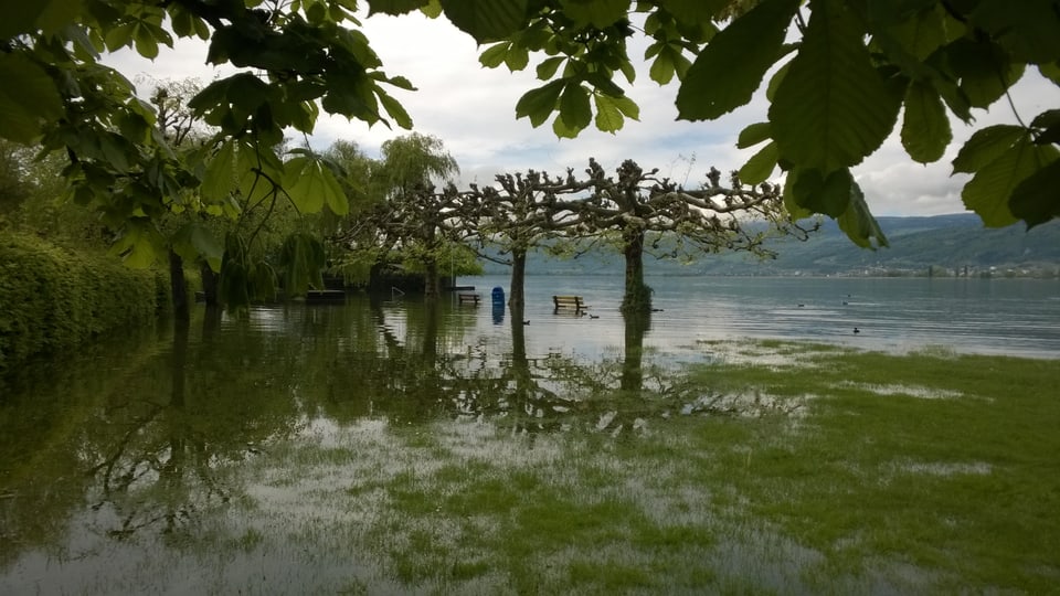 Am Bielersee, wie hier in Lüscherz, hatte sich die Lage am Dienstagmorgen noch nicht entspannt.