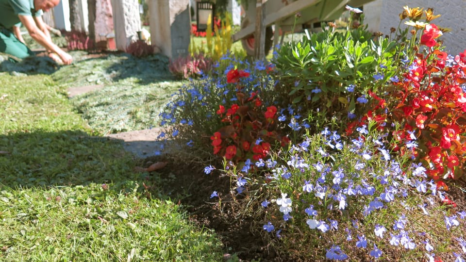 Blumen von einem Grab