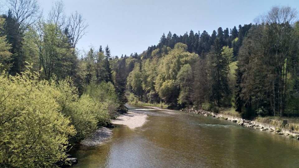 Ein Fluss mit Bäumen am Ufer.