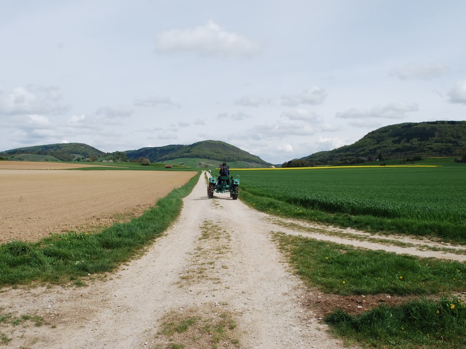 Alter Traktor fährt auf Feldweg durch Agrarlandschaft.