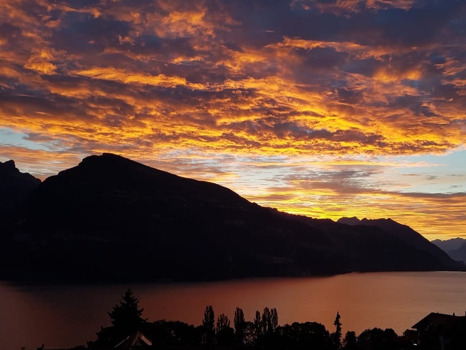 Morgenrot am Thunersee
