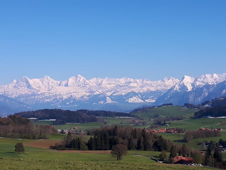 Panorama Blick auf die Berner Alpen 