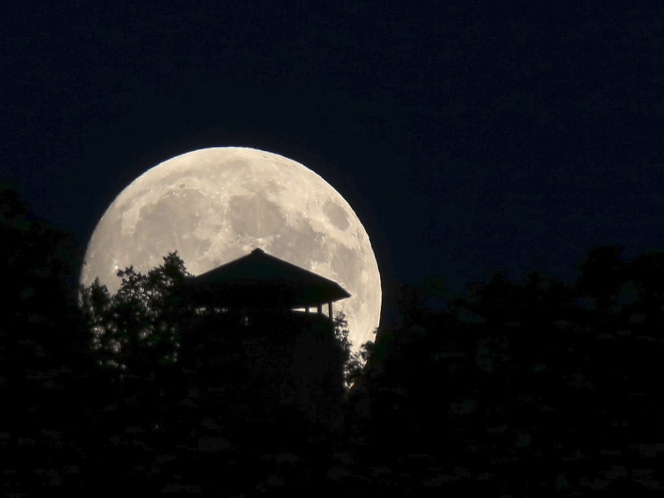 Grosse Vollmondscheibe am schwarzen Himmel. Die Kontur eines Baums und Hauses liegt vor dem Mond. 