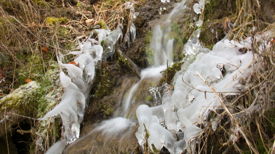 Eiskunst in Uffikon LU. Kleiner Wasserfall, der seitlich vereist ist.