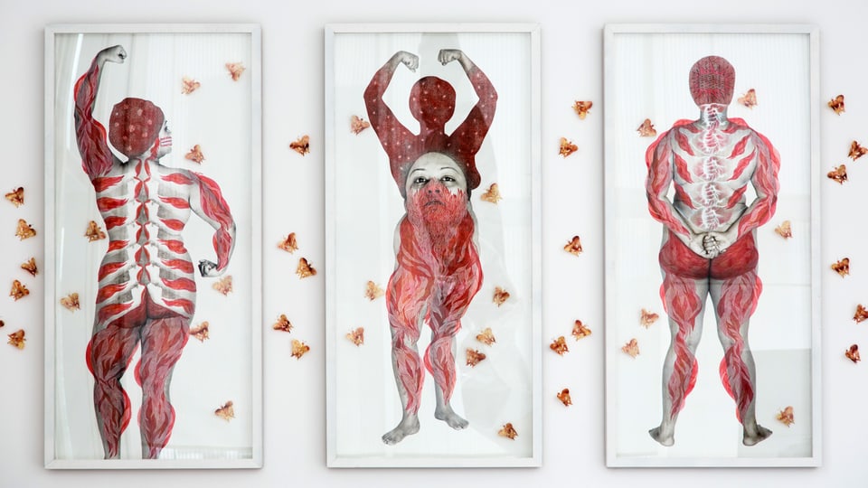 Drei Bilder zeigen nackte Körper von Frauen, die mit roter Farbe teilweise übermalt sind.