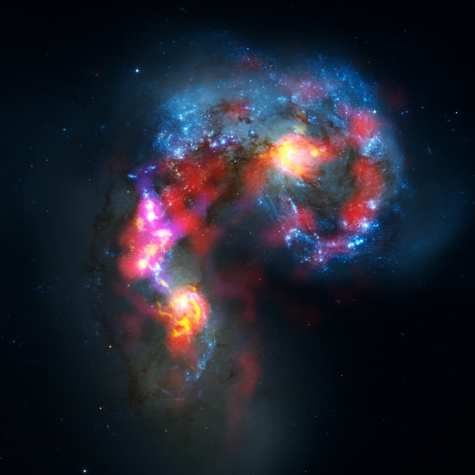 Bunte Aufnahme der Hubble- und Alma-Bilder der Antennen-Galaxien.