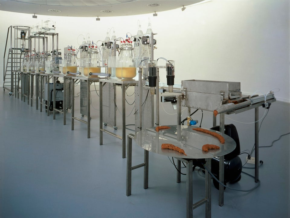 Eine Maschine, die den menschlichen Verdauungsvorgang simuliert: Wim Delvoyes «Cloaca Original» in Antwerpen. 