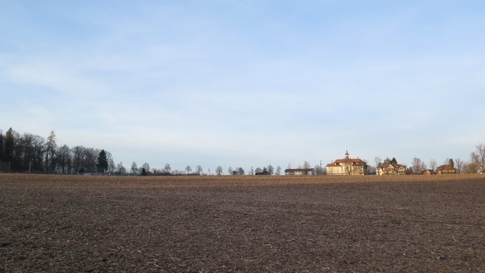 Acker mit Haus im Hintergrund.
