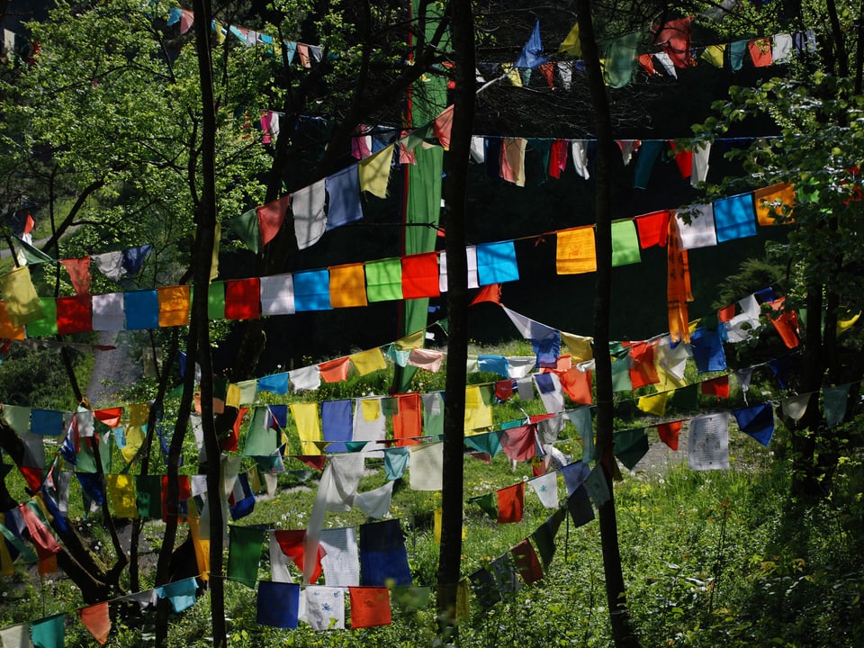 Bunte tibetischen Fähnchen im Walde. 