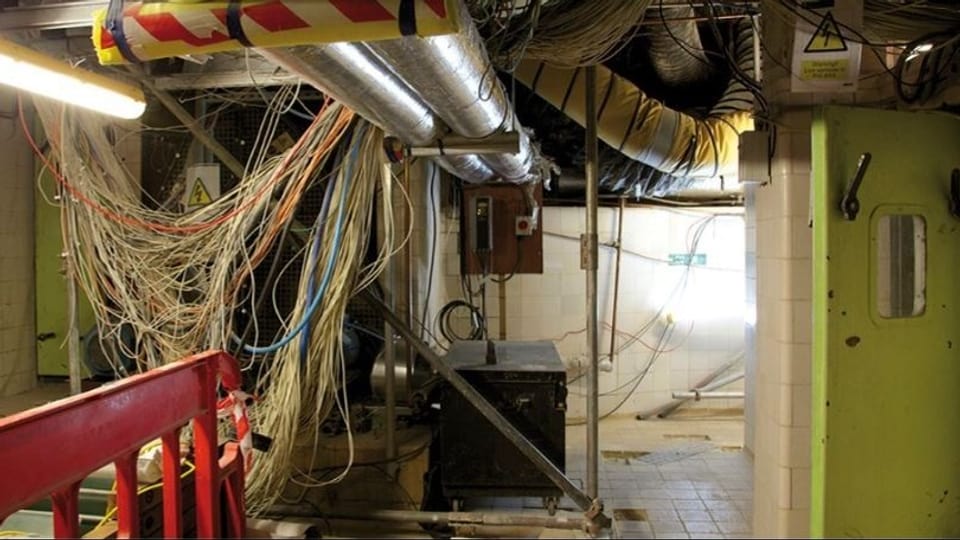 Cables hanging from the ceiling of a basement.