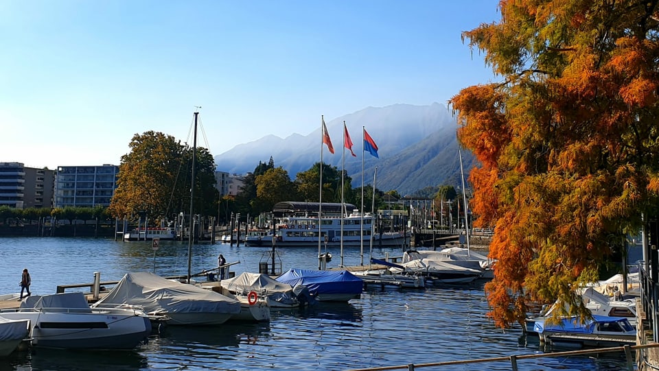 Blick von der Seepromenade auf das Hafenbecken von Locarno mit verfärbten Bäumen.