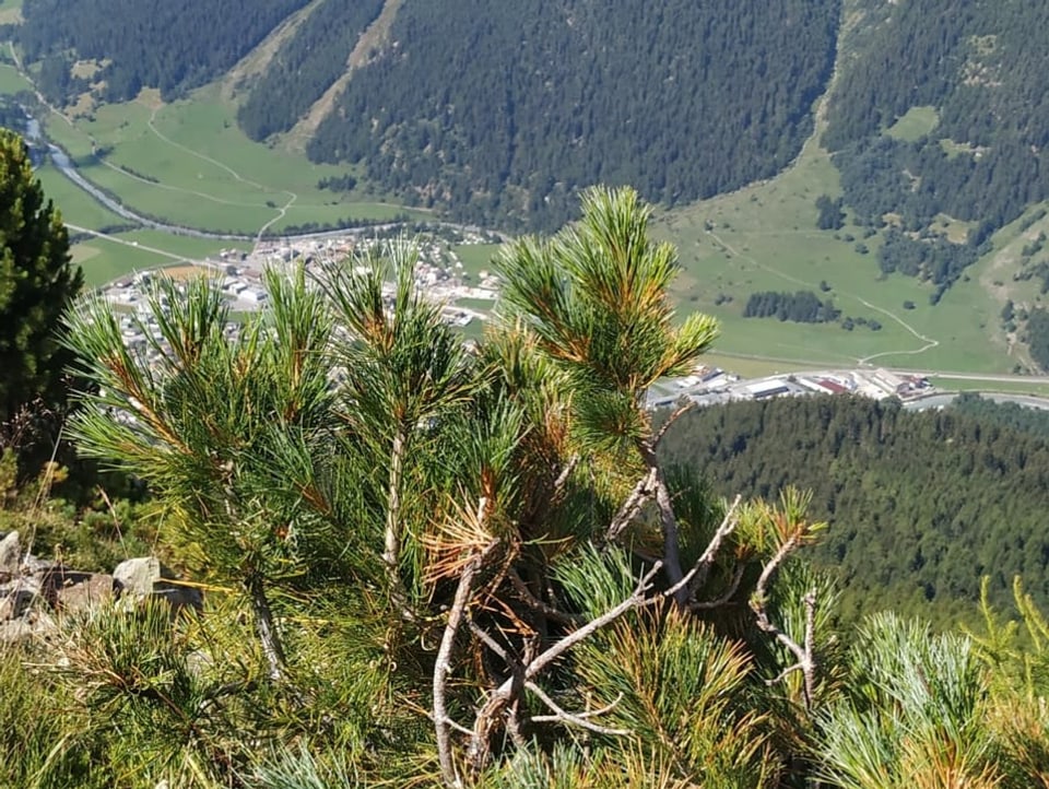 Blick vom Berg  in das Tal mit dem Dorf Zernez.