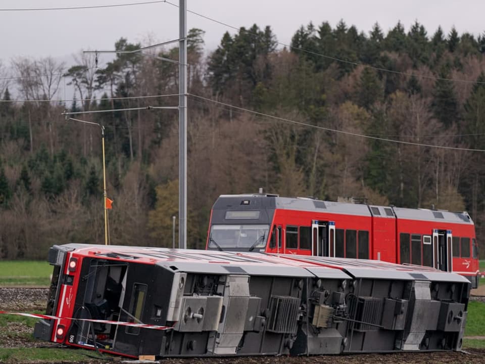 Umgekippter Zug.