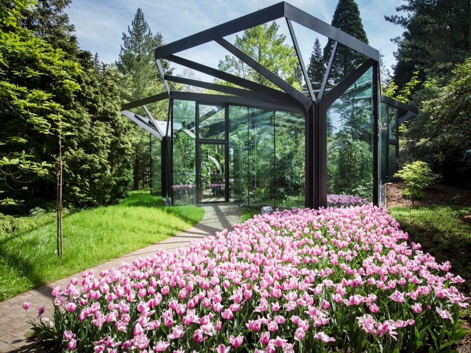 Blick auf den botanischen Garten des historischen Städchen Grüningen