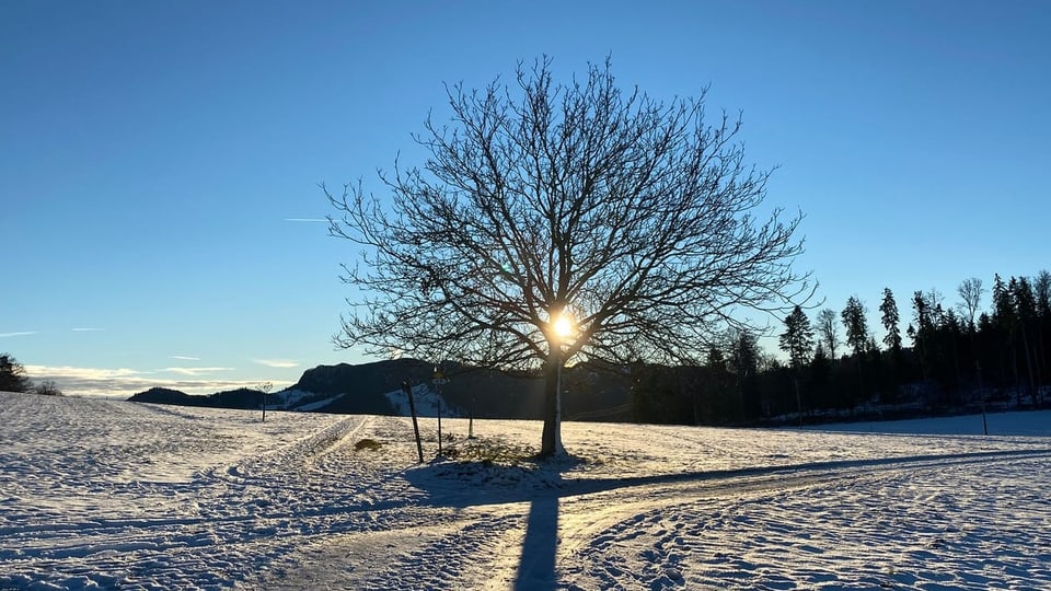 Meteostory von 09:40 Uhr