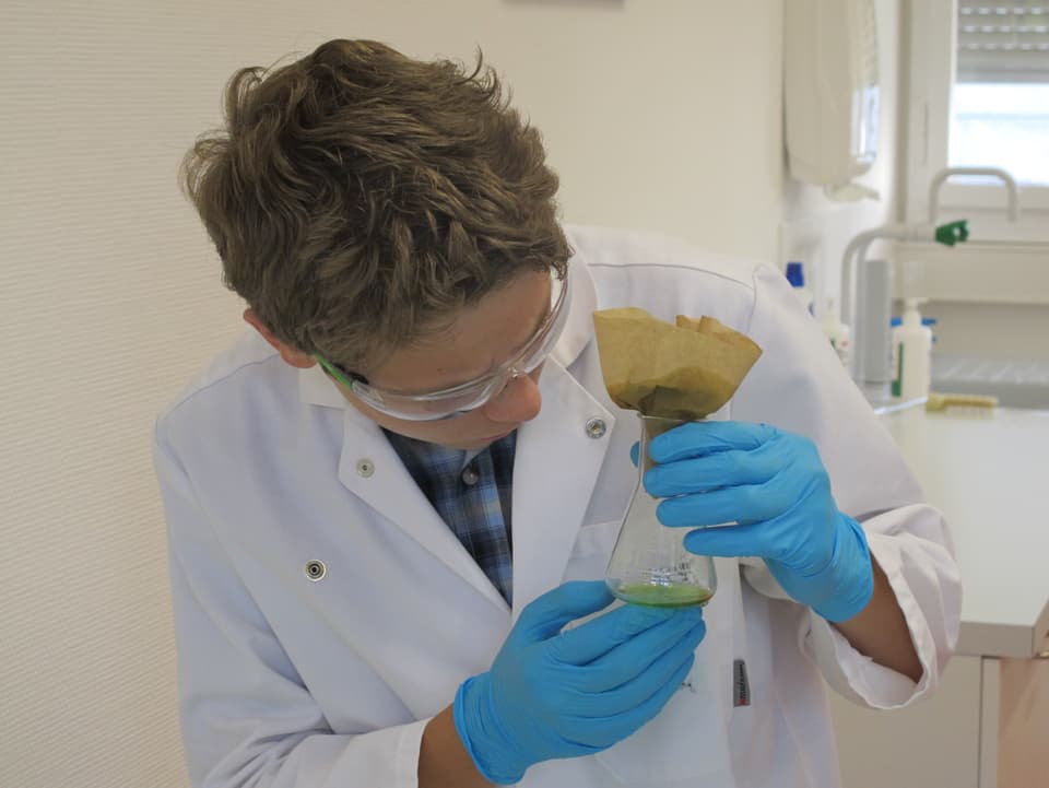 Ein Schüler ausgerüstet mit Labormantel, Handschuhen und Laborbrille untersucht die Bestandteile des Blattgrün.