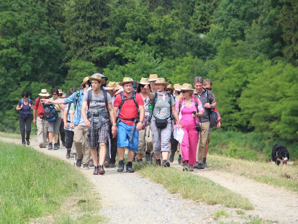 Die Wanderinnen und Wanderer sind als Gruppe auf einem Feldweg unterwegs.
