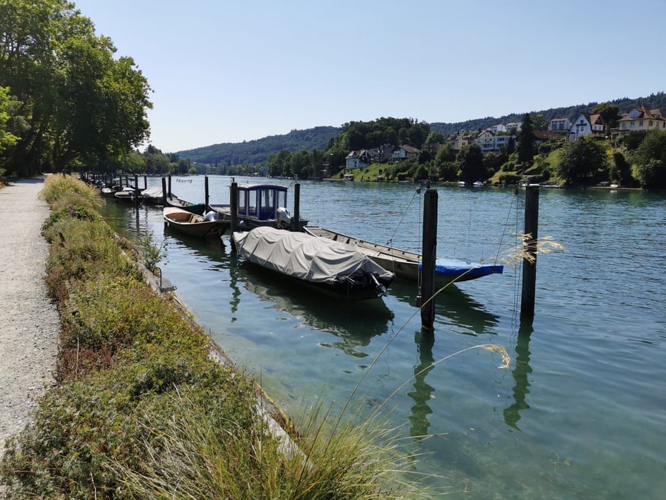 Boote am Ufer des Rheins