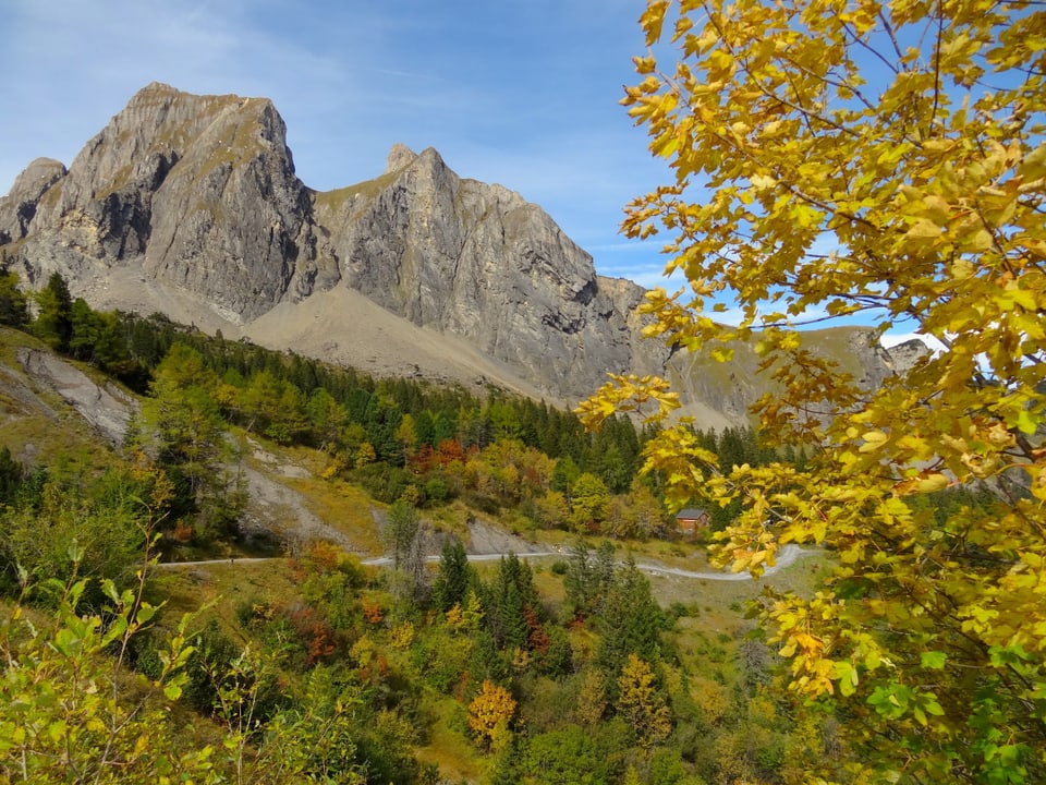 Alpenwelt mit farbigen Wäldern. Rechts im Vordergrund ein Baum mit gelb verfärbten Blättern. Man Blickt durch die Blätter auf einen felsigen Berg oberhalb der Baumgrenze. Der Himmel ist blau und die Sonne scheint. 