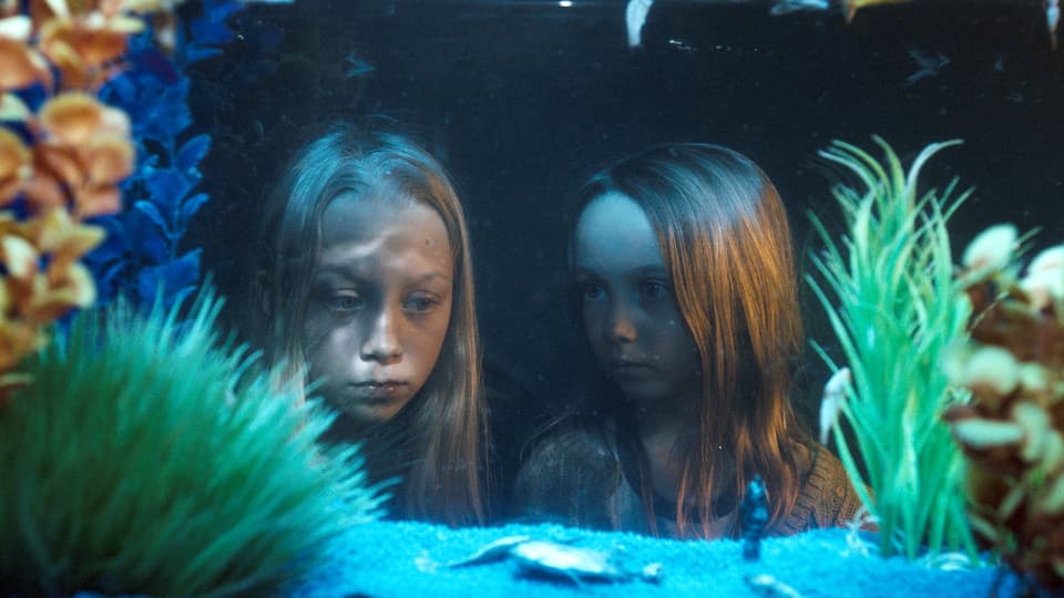 Zwei Mädchen blicken in ein Aquarium.