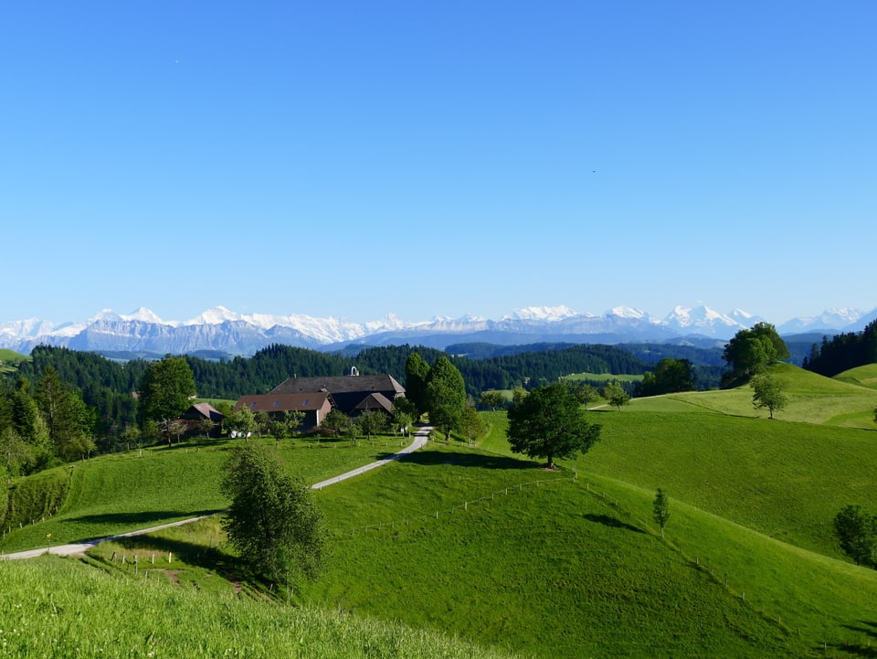 Grüne Hügel, Bauernhof und blauer Himmel