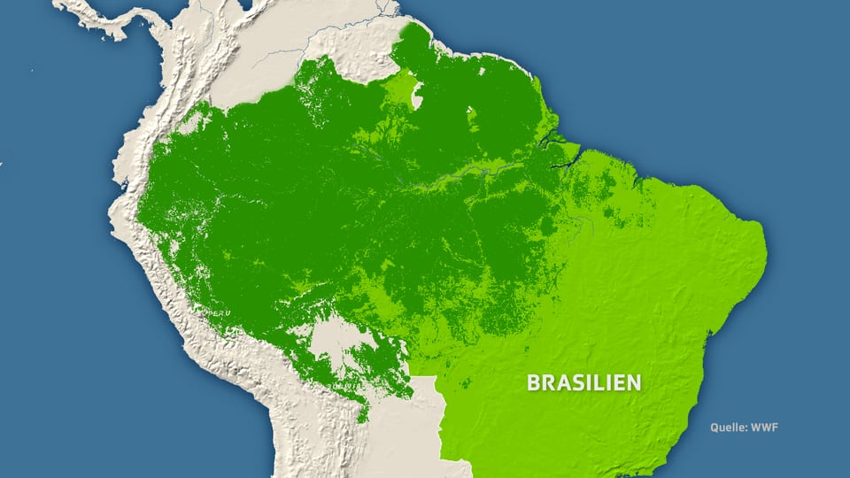 Die Fläche des brasilianischen Regenwalds.
