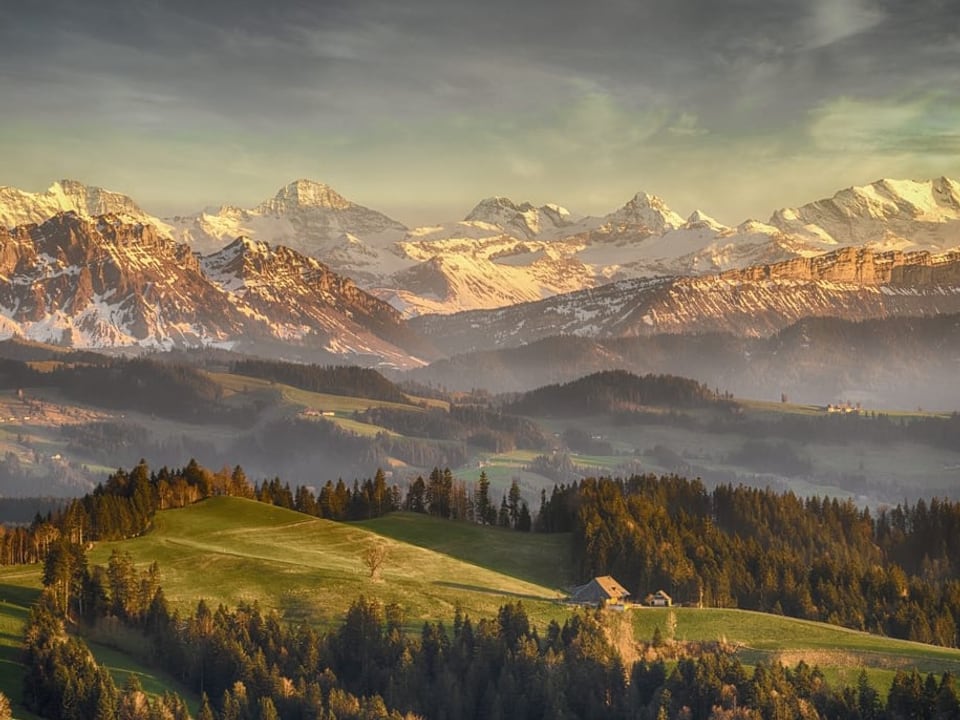 Blick auf Landschaft mit grünen Hügeln im Vordergrund und Schneebergen im Hintergrund.