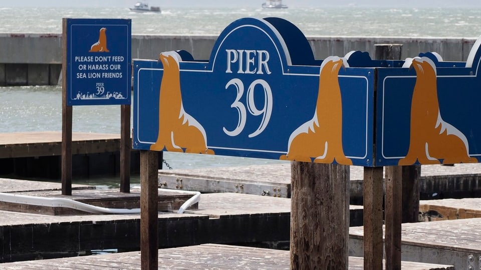 Schilder mit Seehunden am Pier 39 in San Francisco.