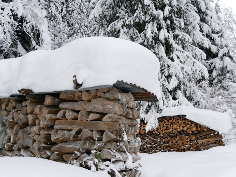 Ein Holzstapel mit einer dicken Schneeschicht oben drauf. Im Hinergrund sieht man verschneite Tannen.