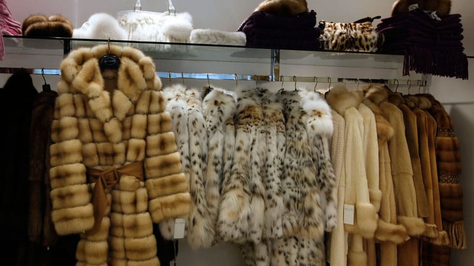 Luzerner Modehaus foutiert sich um Pelz-Deklaration