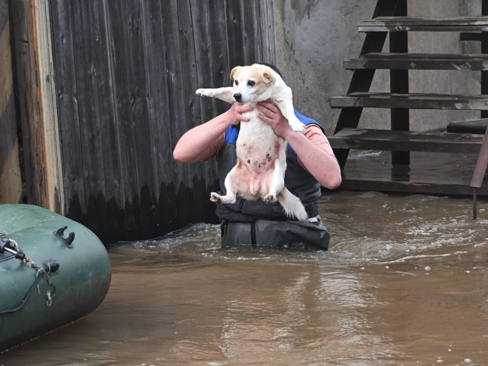 Ein Mann rettet einen Hund aus dem Hochwasser.