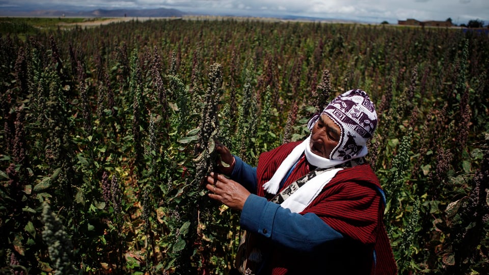 Quinoa-Bauer in Bolivien. 