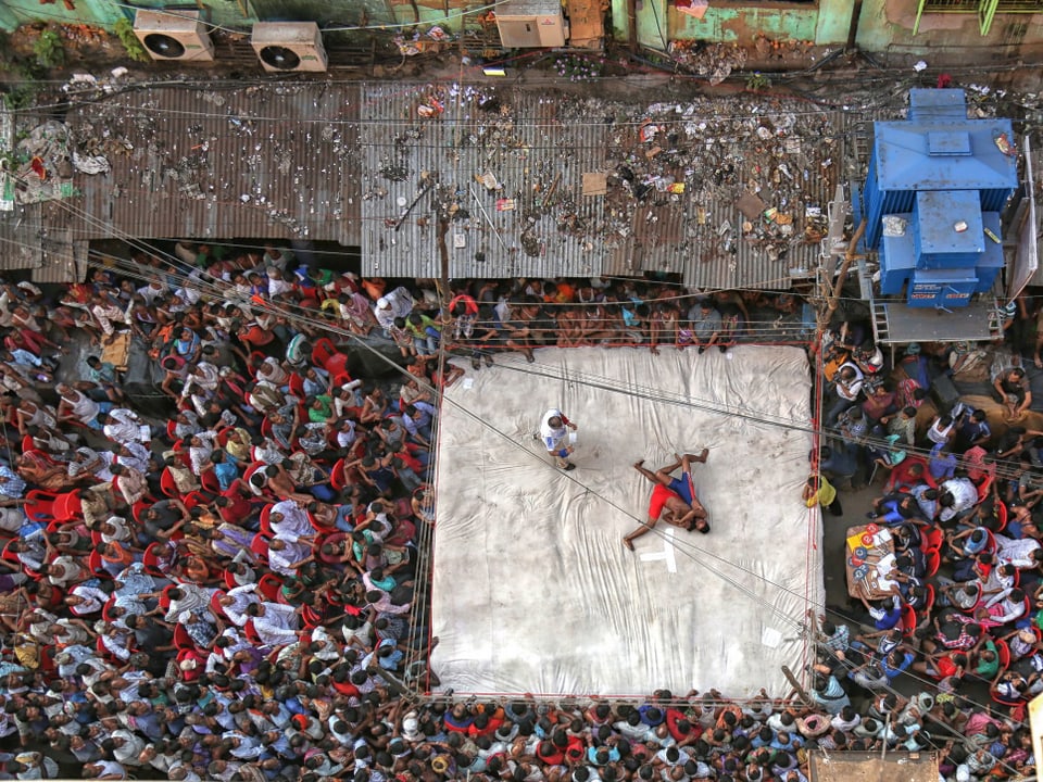 Zwei Inder kämpfen auf einer weissen Fläche. Das Bild aus der Vogelperspektive zeigt ein grosses Publikum, das auf roten Plastikstühlen sitzt.