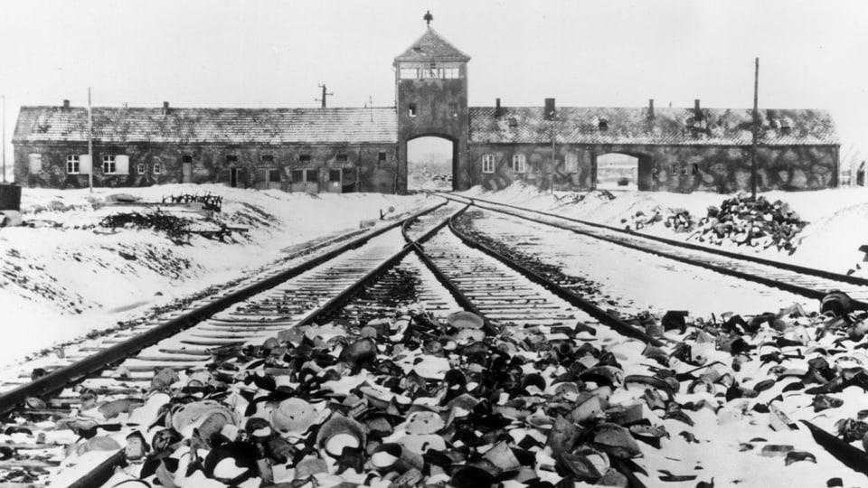 «Ich blieb in Auschwitz»: Buchbesprechung von Felix Münger