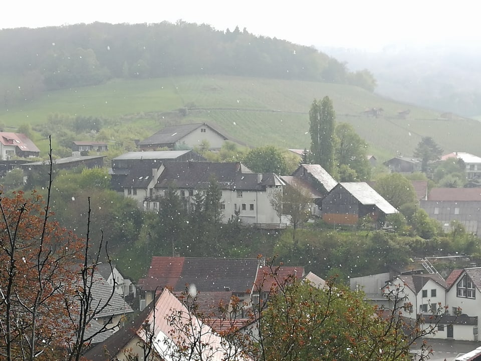 Mehrere Häuser auf einem Hügel.