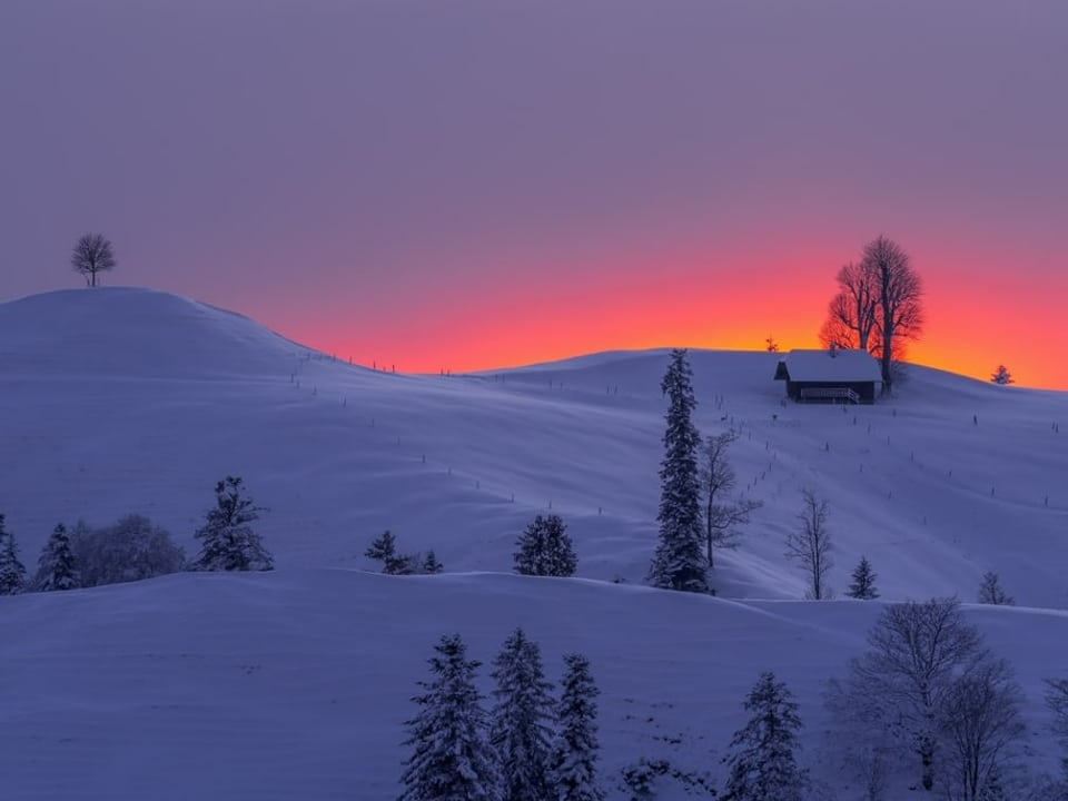 Verschneite hügelige Landschaft. Der Himmel ist bedeckt, am Horizont leuchten die Wolken orange.